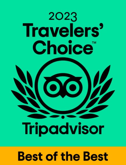 Trip Advisor